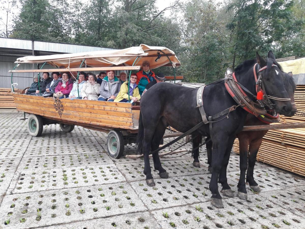 Agroturystyka U Misia Niedzwiedz Bagian luar foto